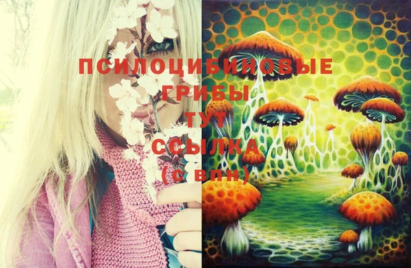 меф Баксан