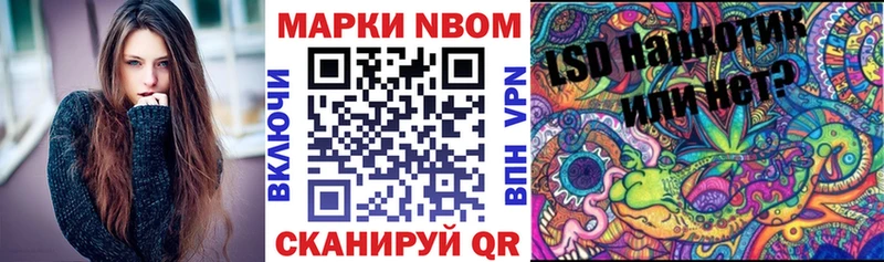 купить наркотики сайты Петровск-Забайкальский Наркотические марки 1,5мг